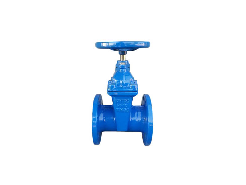 Z45X/RVCX�ֶ��������ܷⵯ��բ��